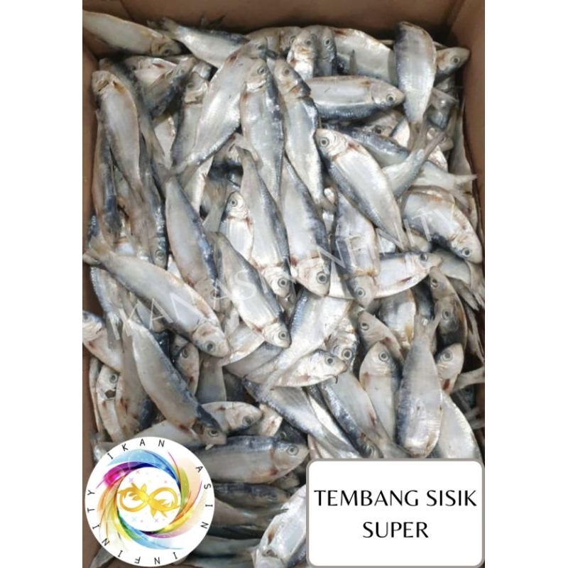 

Ikan asin Tembang Sisik Super (1000 gram / 1 kg)