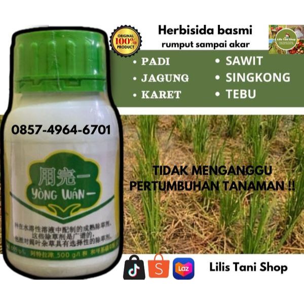 Herbisida Sistemik Selektif Untuk Gulma Berdaun Lebar Dan Berdaun Sempit Aman Untuk Padi