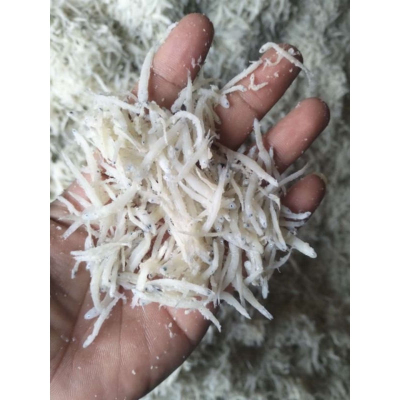 

Ikan Asin Teri Nasi Medan Putih 15kg