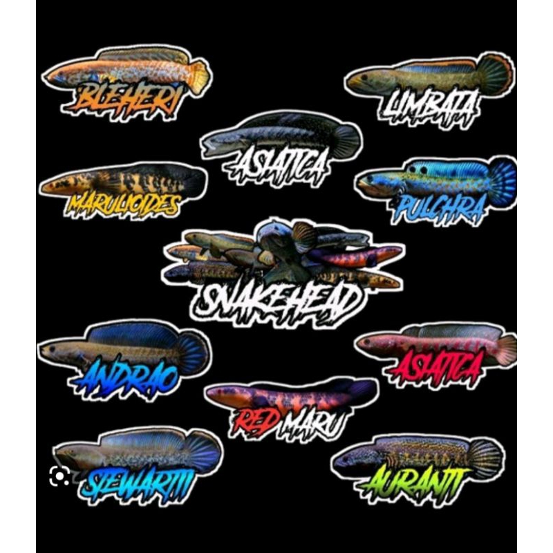 

STIKER CHANA YS SIMET BATIK +AA