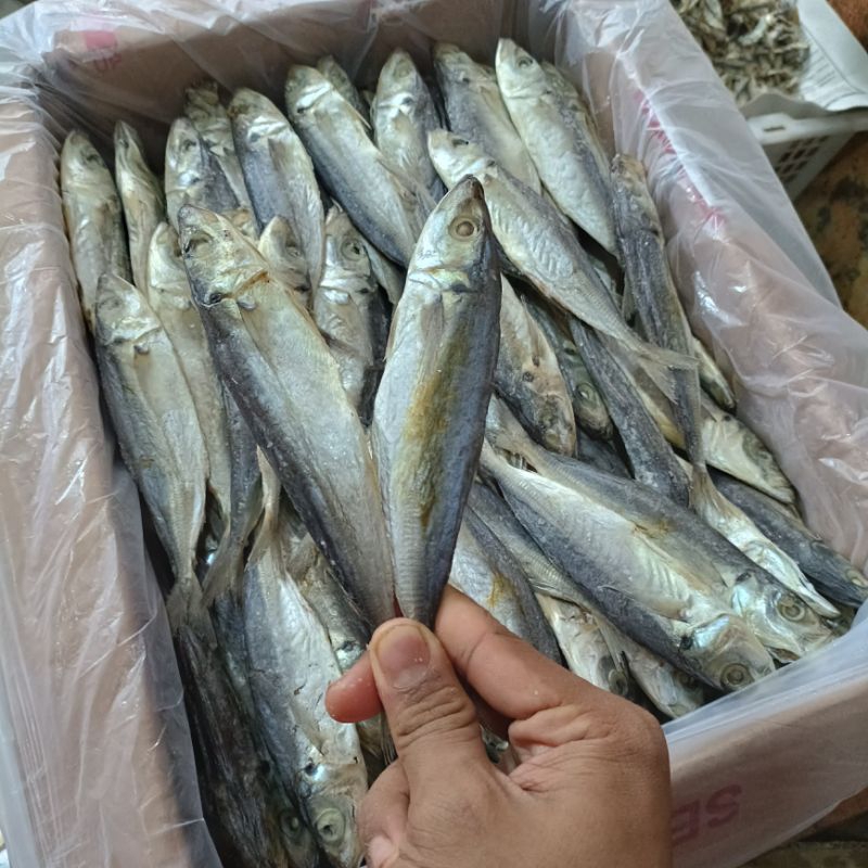 

IKAN ASIN PEDA LAYANG , IKAN ASIN LAYANG BELOCOT FRESH 1KG.