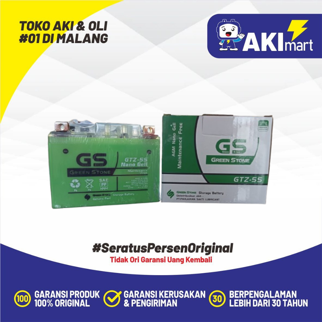 GS Green Stone GTZ5S Aki Motor