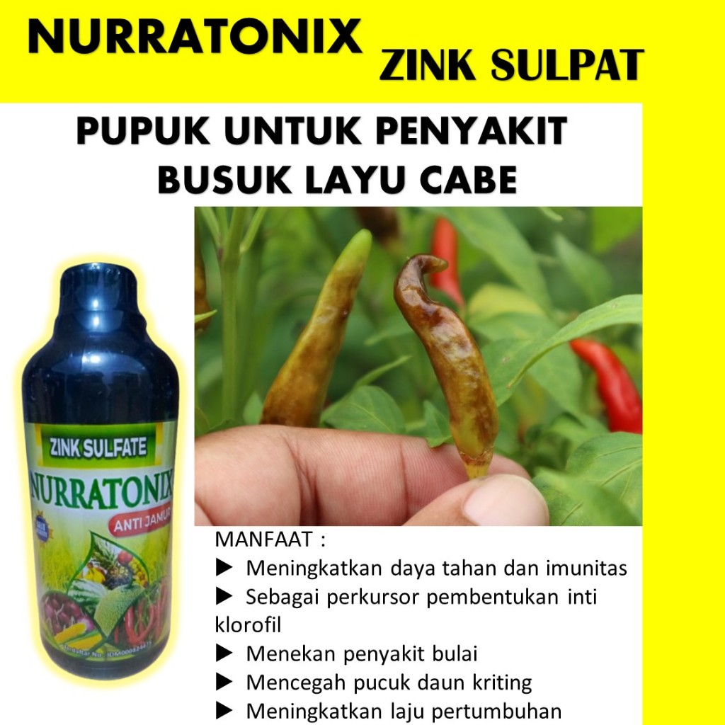 ZINK NURRATONIX 500 ML Fungisida Hayati, Obat  Cabe, Obat Patek Cabe Ampuh, Obat Patek Tanaman Cabe,