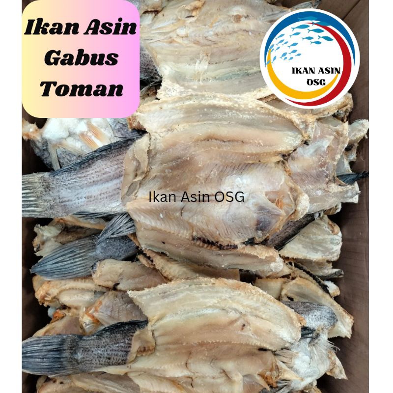 

ikan asin gabus kolam size besar 500gr