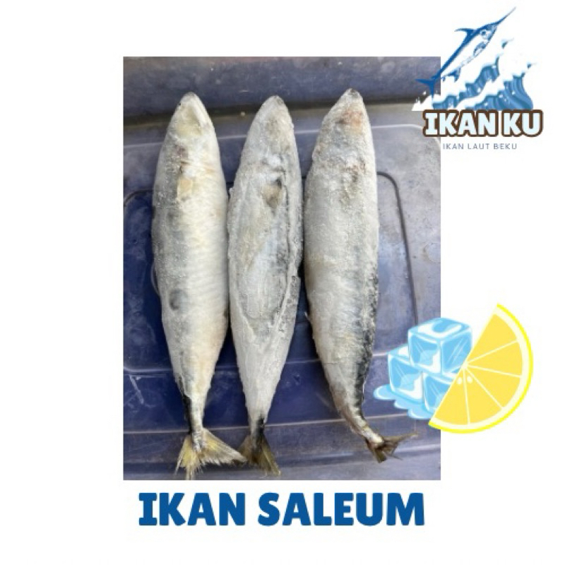 

ikan saleum ikan cakalang/frozenfood/seafood/cumi/udang/laut/daging/lauknasi