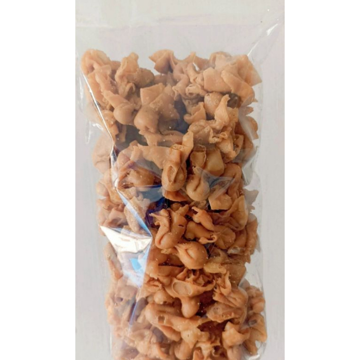 

KERIPIK PANGSIT CUMI ABON 250 GR