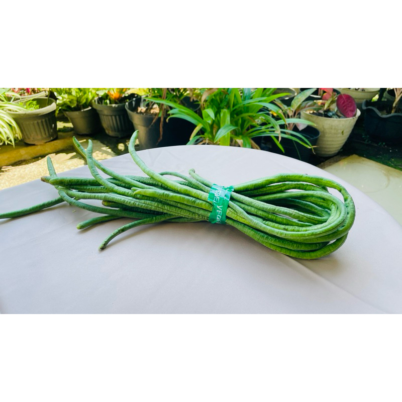 

Sayuran Kacang-kacangan