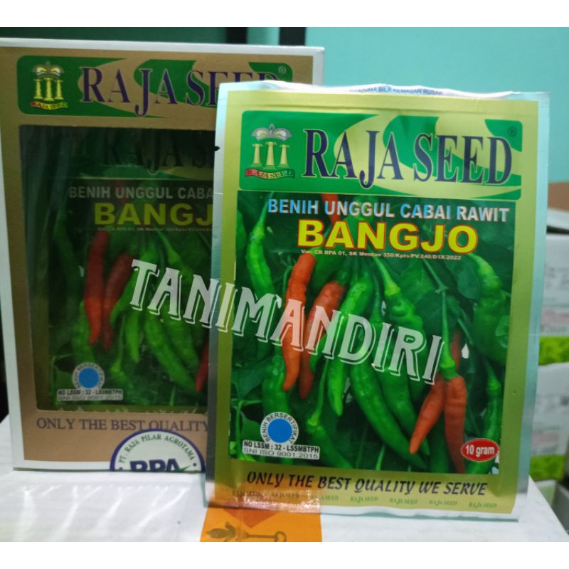 Benih Cabe Rawit Bangjo isi 10 gram