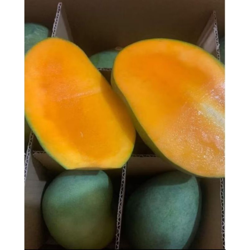 

Mangga alpukat 1 dus 5kg masak pohon/tua pohon