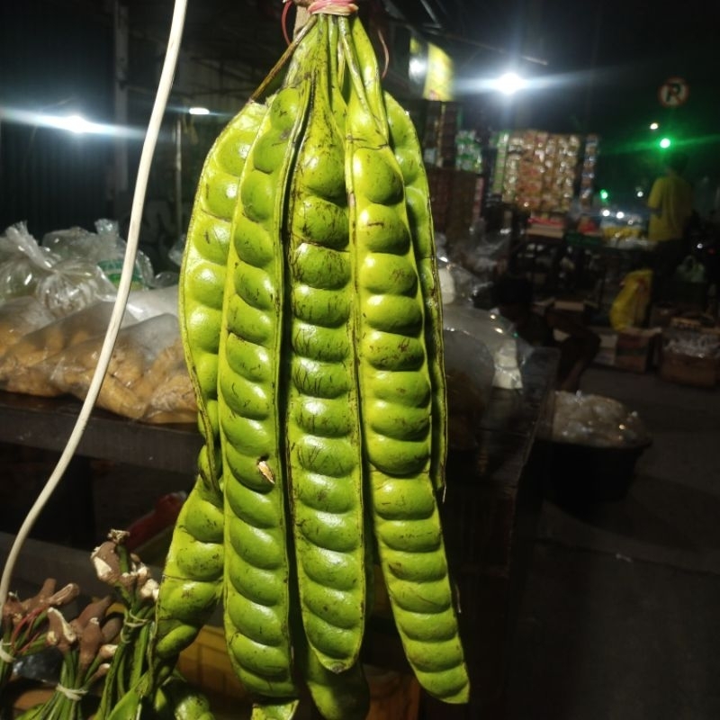 

pete premium 10 papan/lonjor/keris