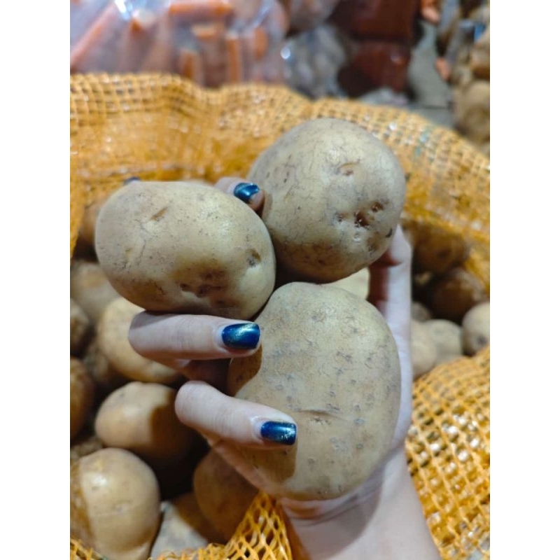 

Kentang super murah grade A