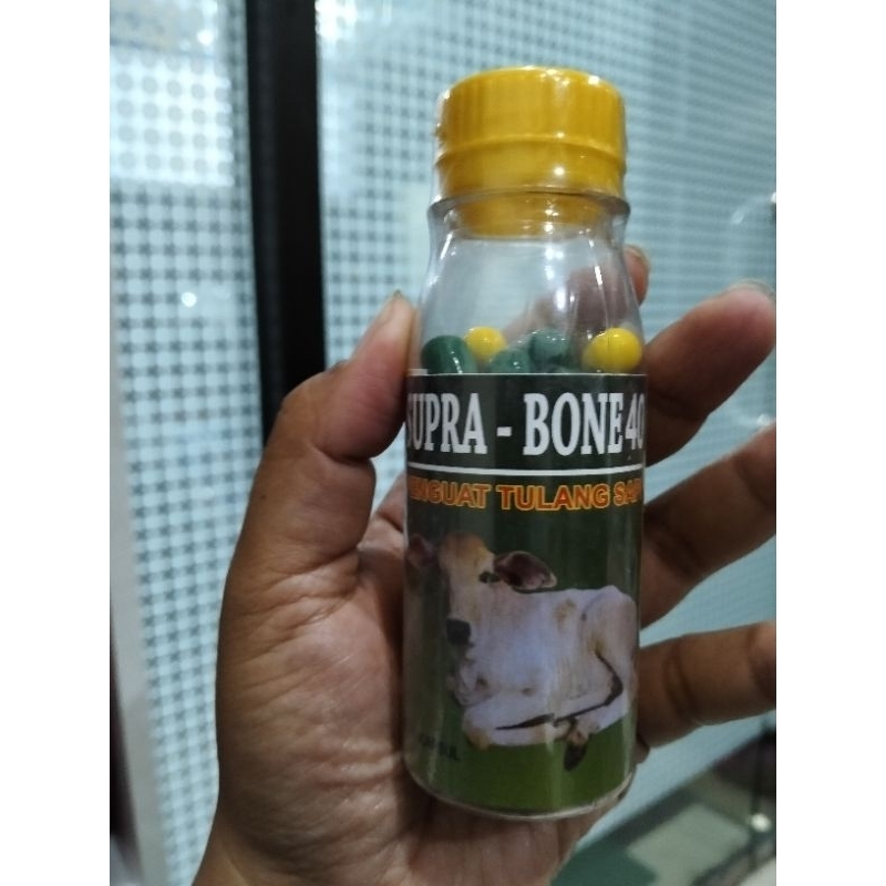 

SUPRA-BONE40,PENGUAT TULANG SAPI