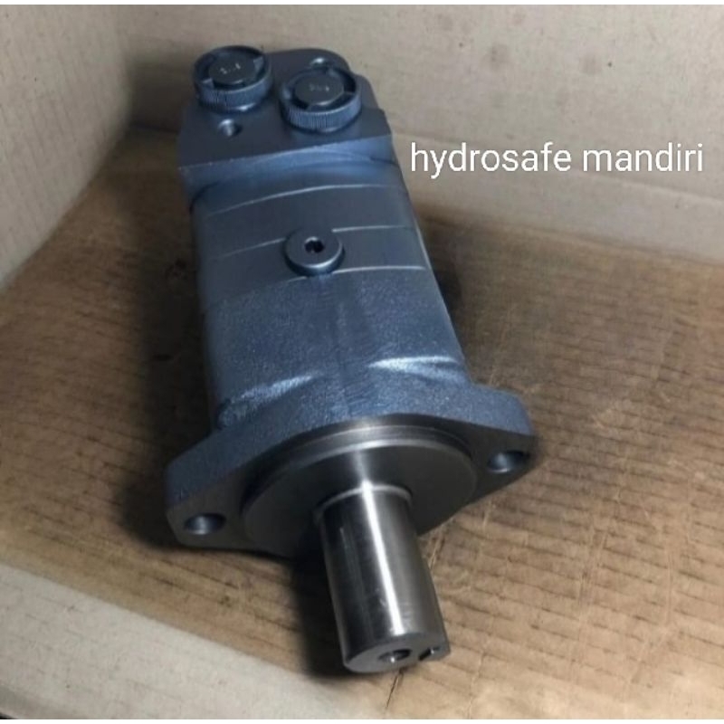 Disc valve hydraulic motor NLHS - 195 / 245 NUCLEO