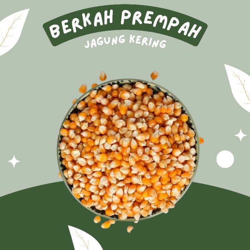 

Jagung kering popcorn premium