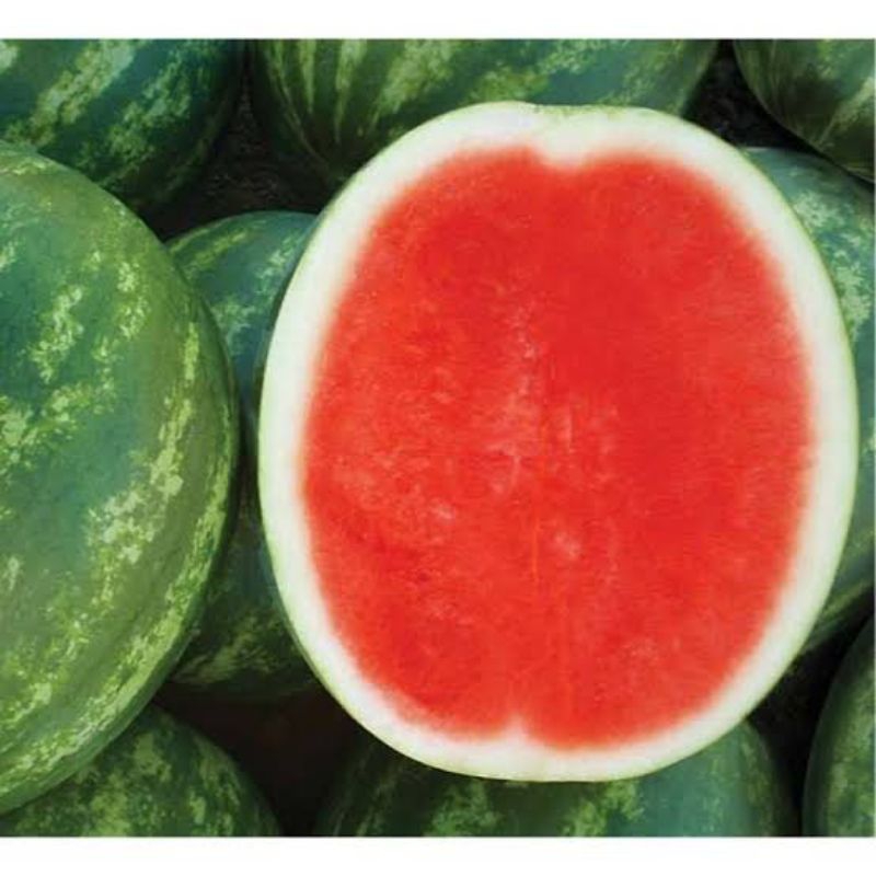 

Semangka Non Biji Merah 1Bulat