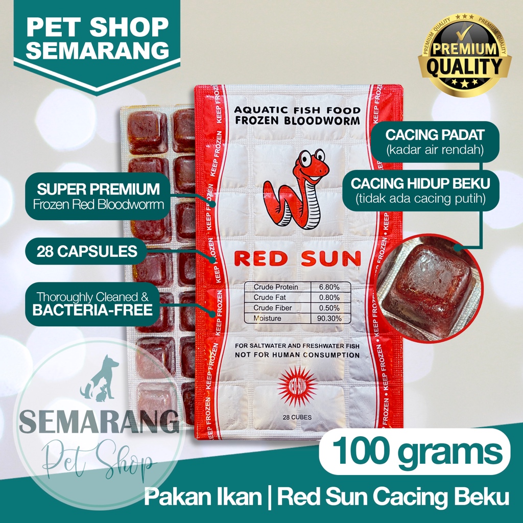 PREMIUM Frozen Bloodworm RED SUN Cacing Darah Beku 100gr Cabek Best Quality Cacing Es 100 gr Redsun