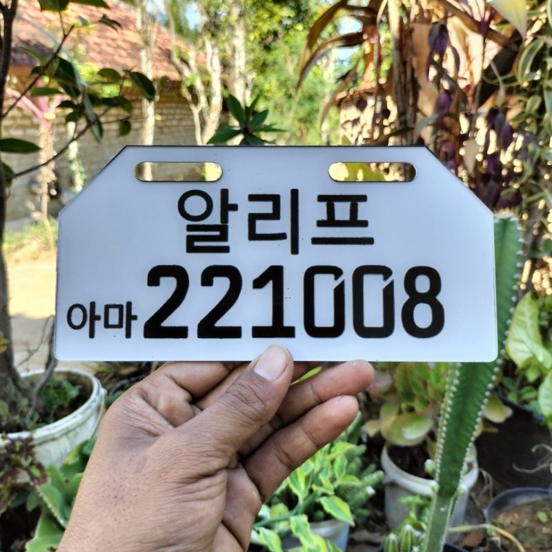 Plat Speda Listrik / Plat Speda Listrik Tulisan Cina / aplat sepeda Custom