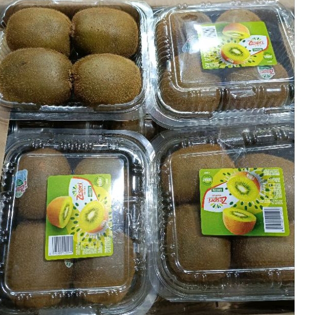 

Buah Kiwi pack isi 4