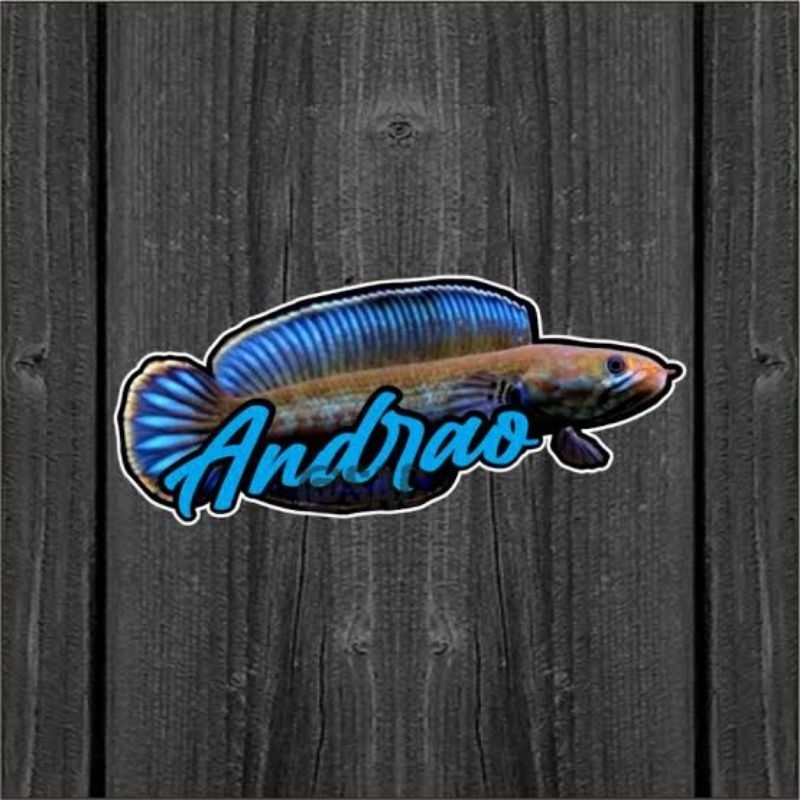 

Stiker andrao giwar