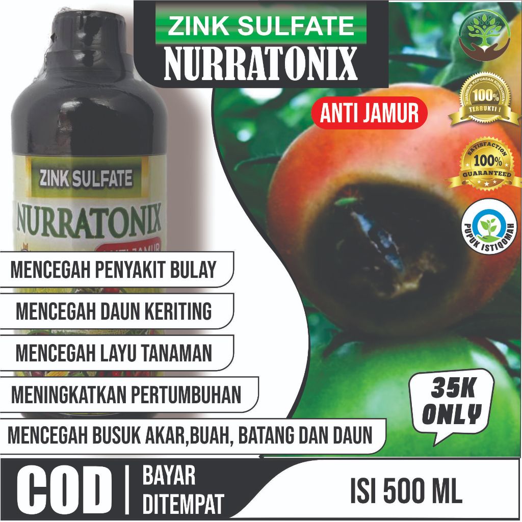 Obat Busuk Buah Tomat Musim Hujan Dan Kemarau ZINK SULFATE NURATONIX Pupuk Fungisida Anti Jamur Pupu