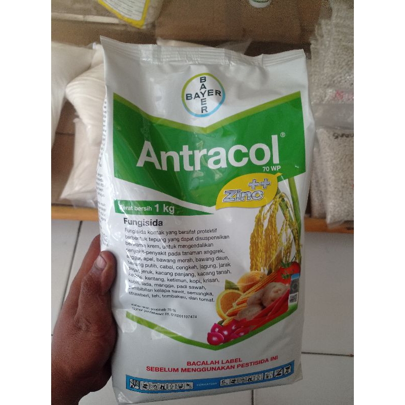 Antracol 70 wp 1kg