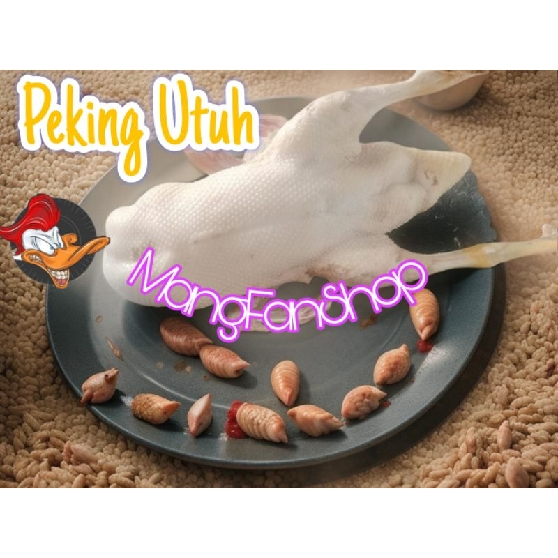 

Bebek Peking Hibrida Fresh