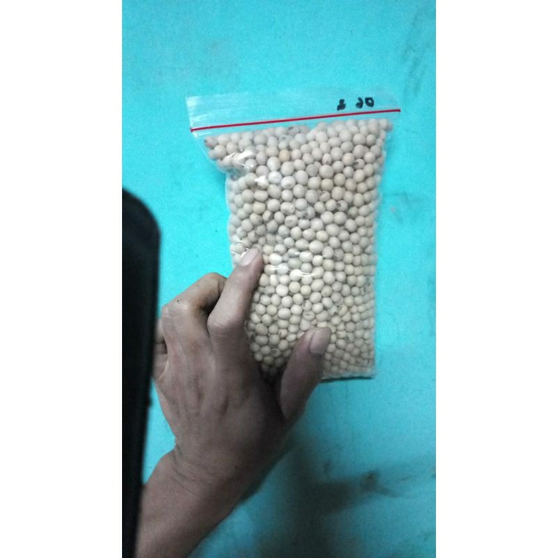 

Kacang Kedelai Impor (super)