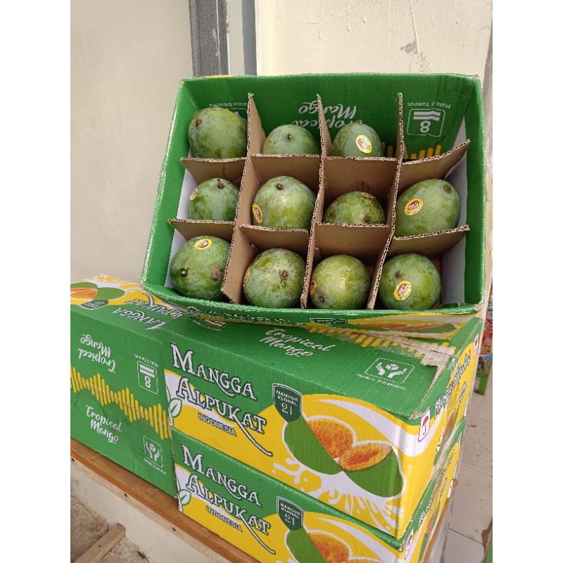 

Buah Mangga Alpukat Manis 1 Kg