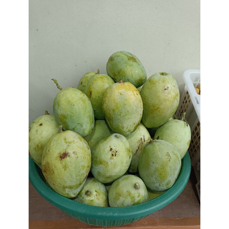 

Buah Mangga Indramayu 1 Kg