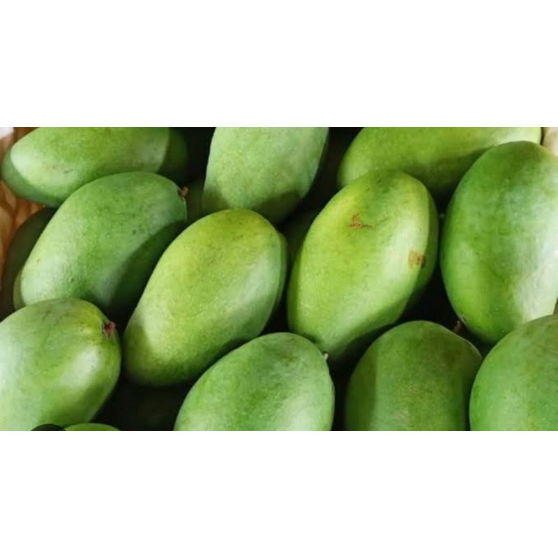 

Mangga