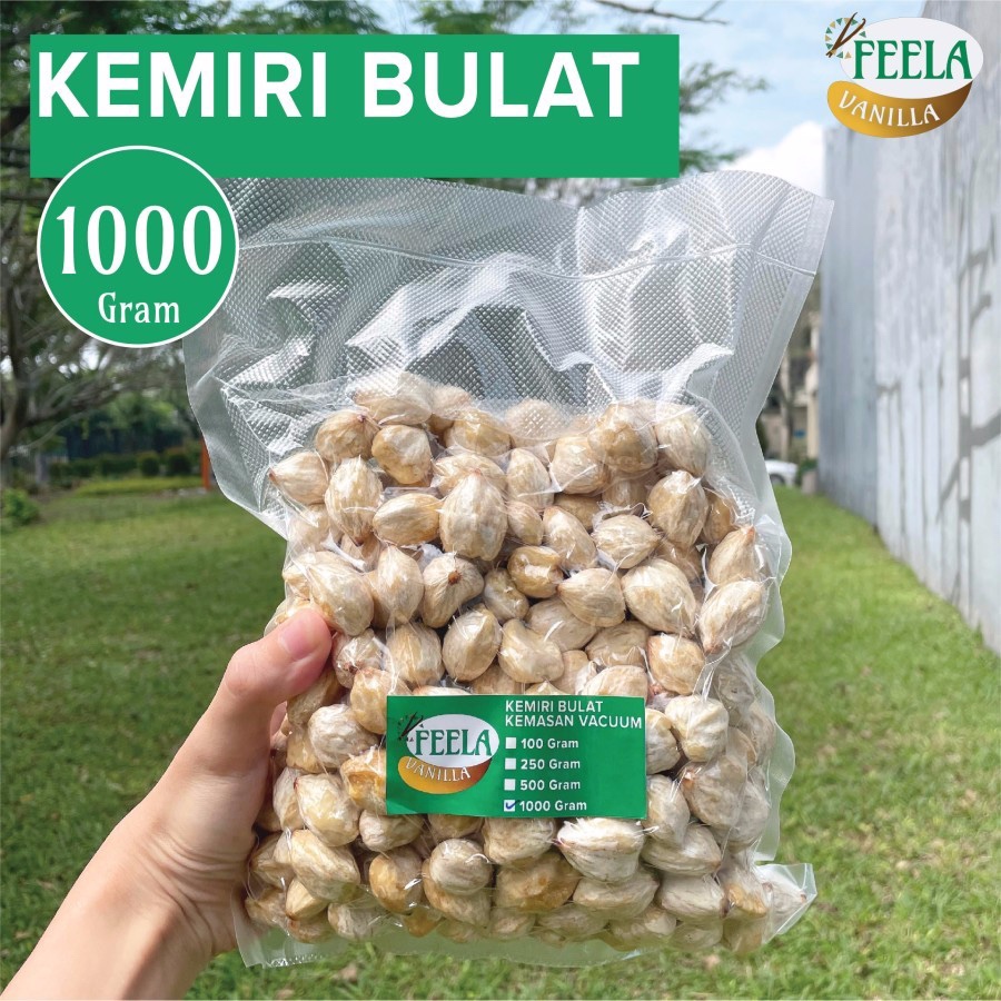 

Kemiri Bulat Utuh 1Kg 1000gr 1000, 500, 100 Gram - Biji Kemiri Fresh - Khas NTT - 100 gram