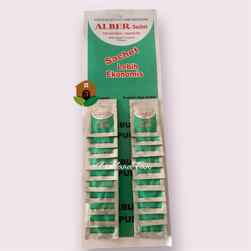Albert sachet / koreb salep / 1 pcs