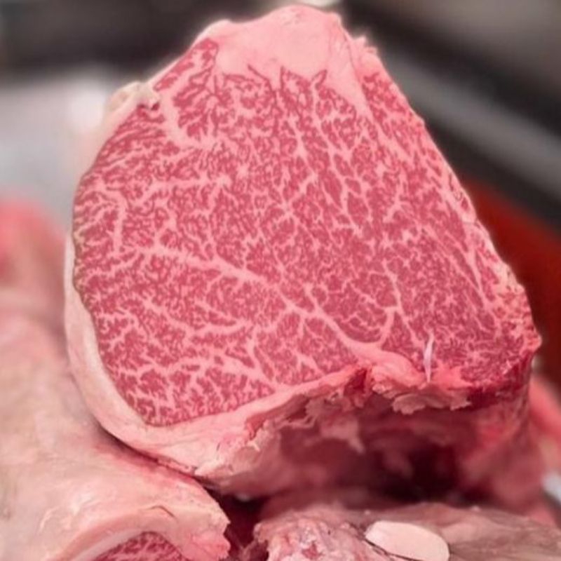 

A5 WAGYU JAPAN 500gr