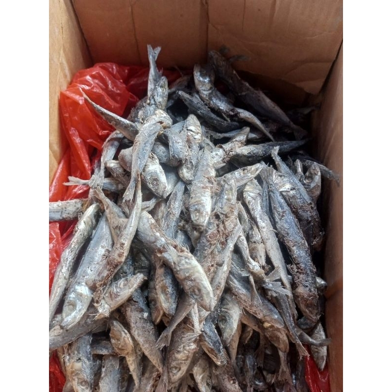 

Ikan Asin Layang