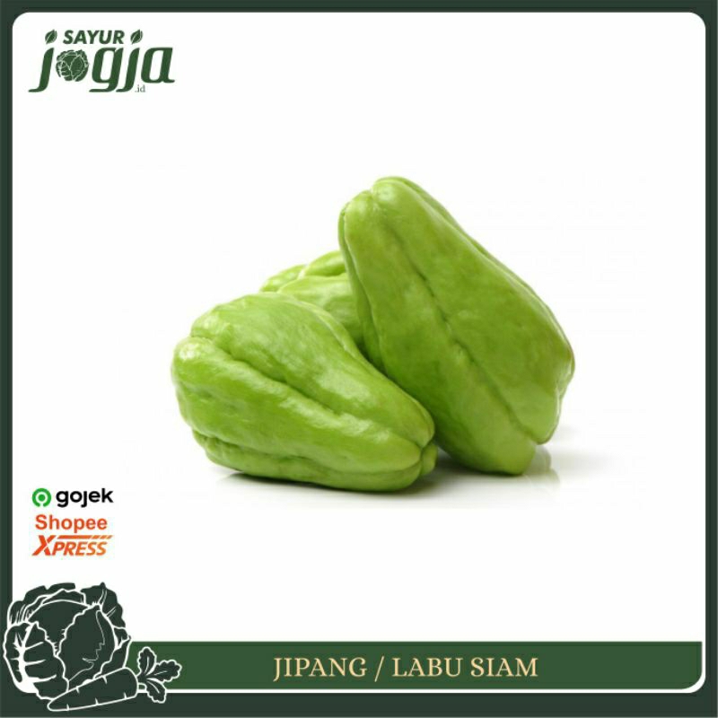 

Labu Siam 200g - 300g : Sayur Jogja