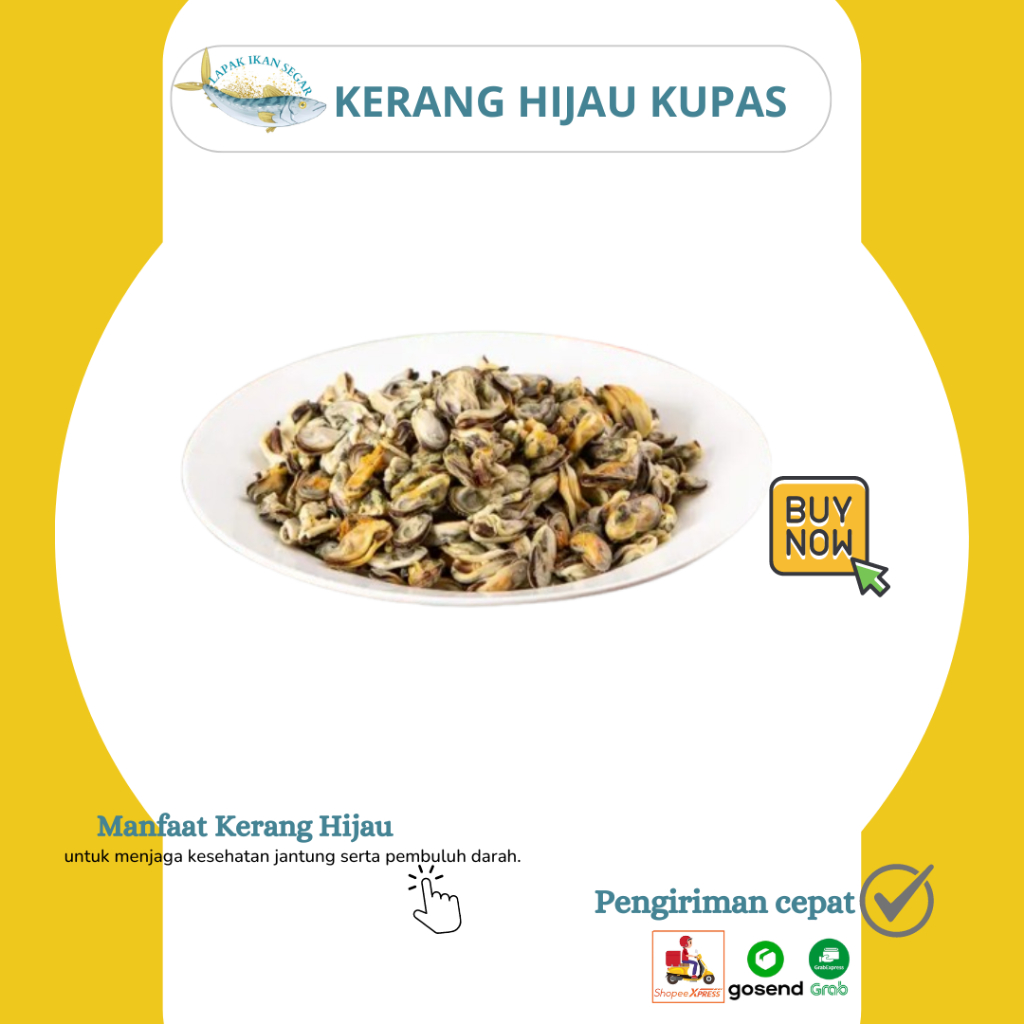 Kerang Kupas/Daging Kerang Hijau Kupas Segar