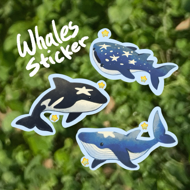 

star whales glitter sticker