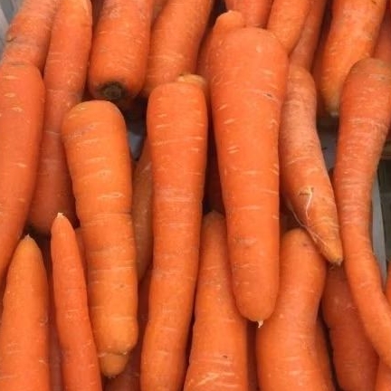 

Wortel Brastagi 500gr