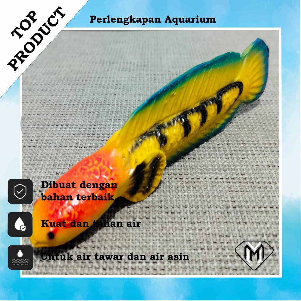 hiasan aquarium model ikan cana untuk melatih insting predator muncul di ikan cana