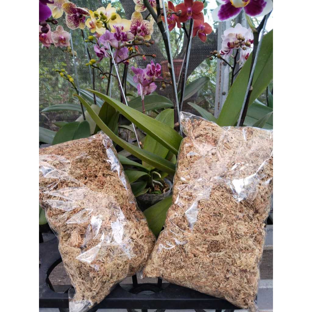 Media Tanam Anggrek Sphagnum Moss Putih