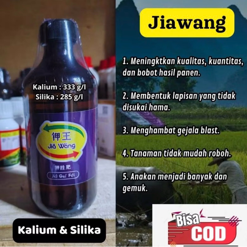 Jia Wang Raja Pupuk Kalium dan Silica
