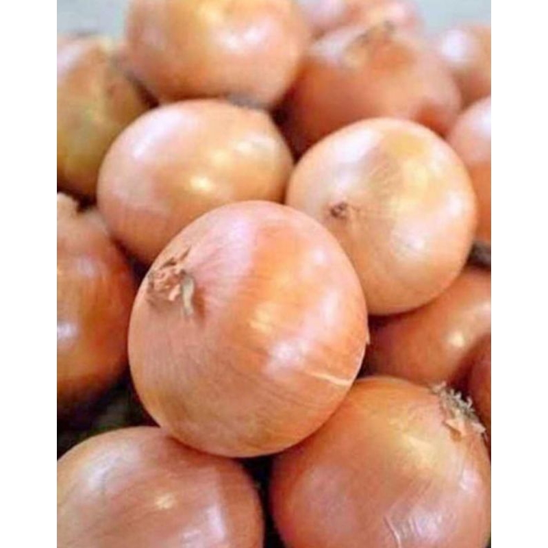 

Bawang Bombay Super Fresh 1kg