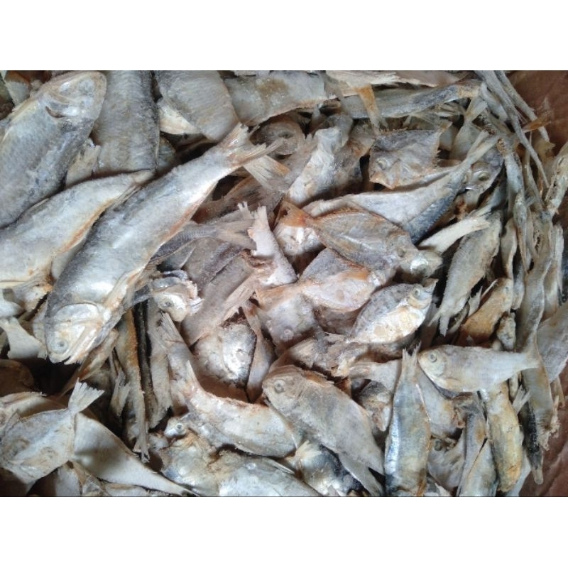 

IKAN ASIN CAMPURAN 1 KG