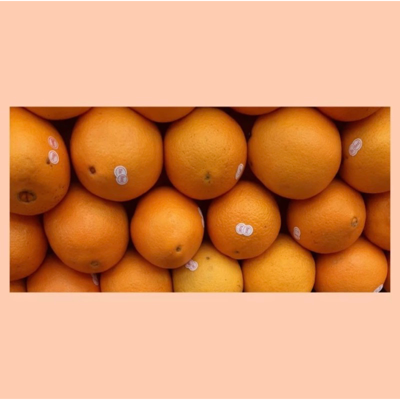 

Jeruk sunkist navel valencia / jeruk navel valencia