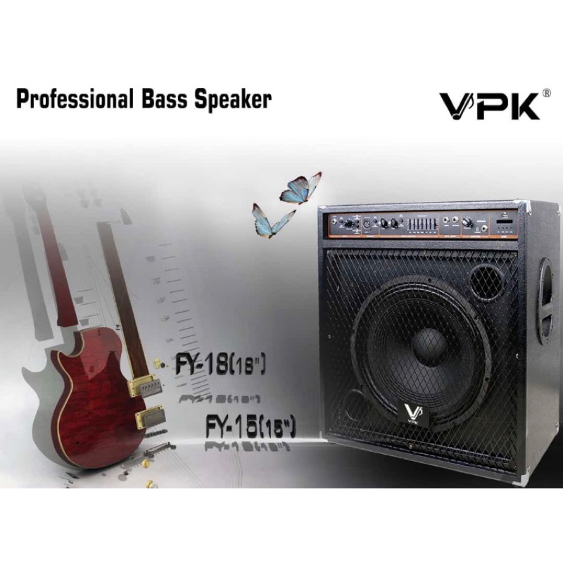 Speaker ampli gitar bass 15" 100watt rms usb player