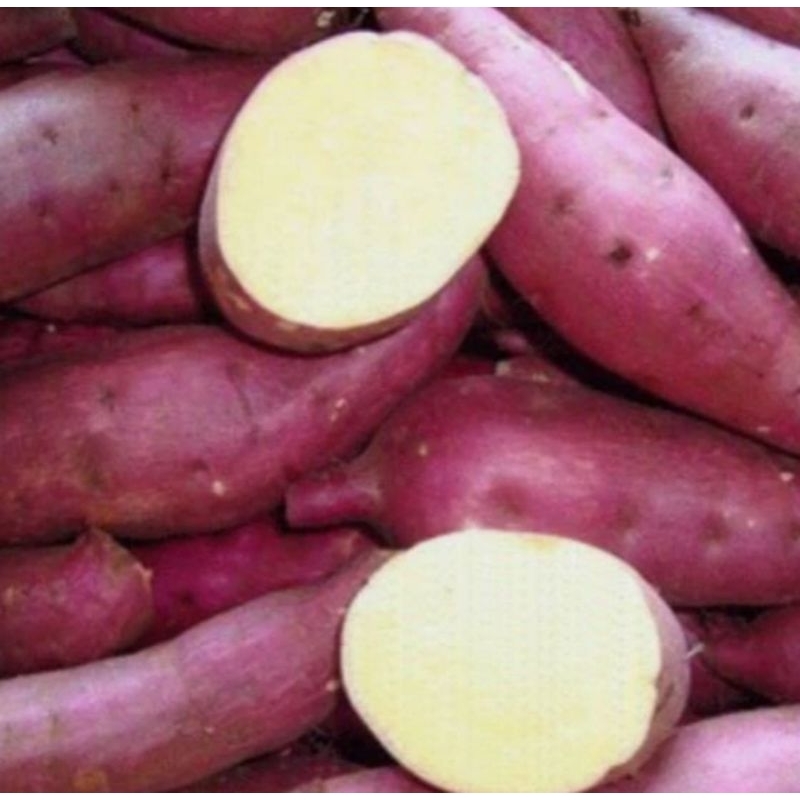 

Ubi jalar segar - ubi merah/ ubi jepang fresh 1kg