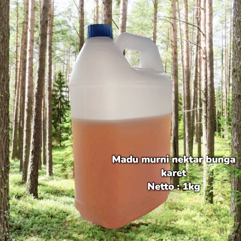 

Grosir 5kg madu murni nektar bunga karet
