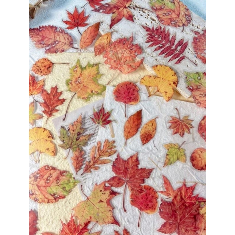 

STIKER WATERPROOF DEEP VALEY LEAVES AUTUMN