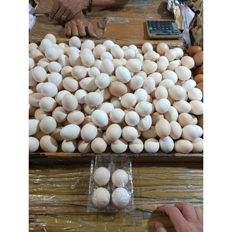 

Telur ayam kampung 4-pcs,Lebih hemat bukan