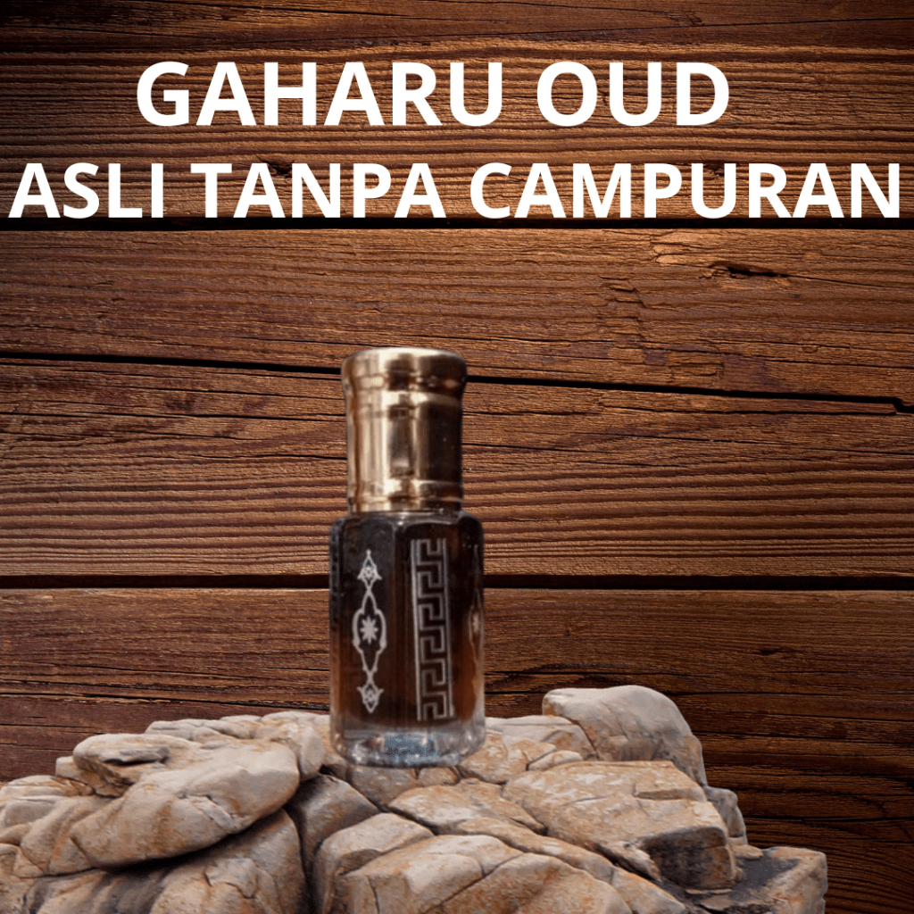 Gaharu original arab saudi